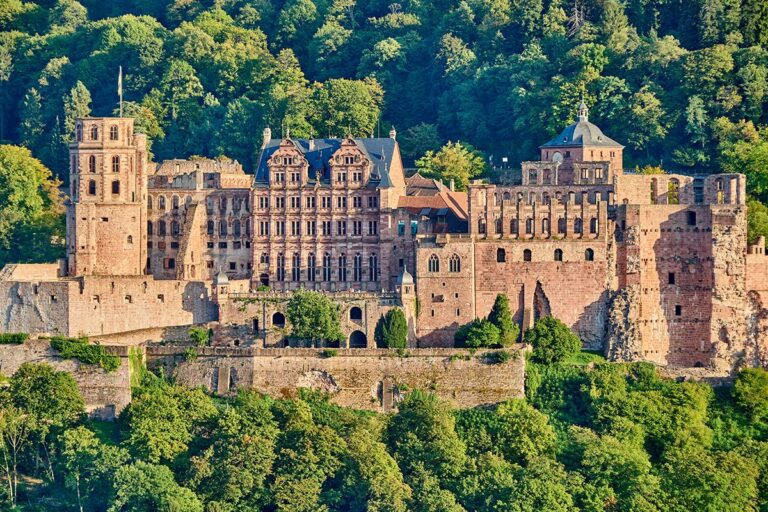 Heidelberg Castle 4 Heidelberg Castle in summer from the Philosophenweg, red sandstone ruins framed by forest on the Königstuhl