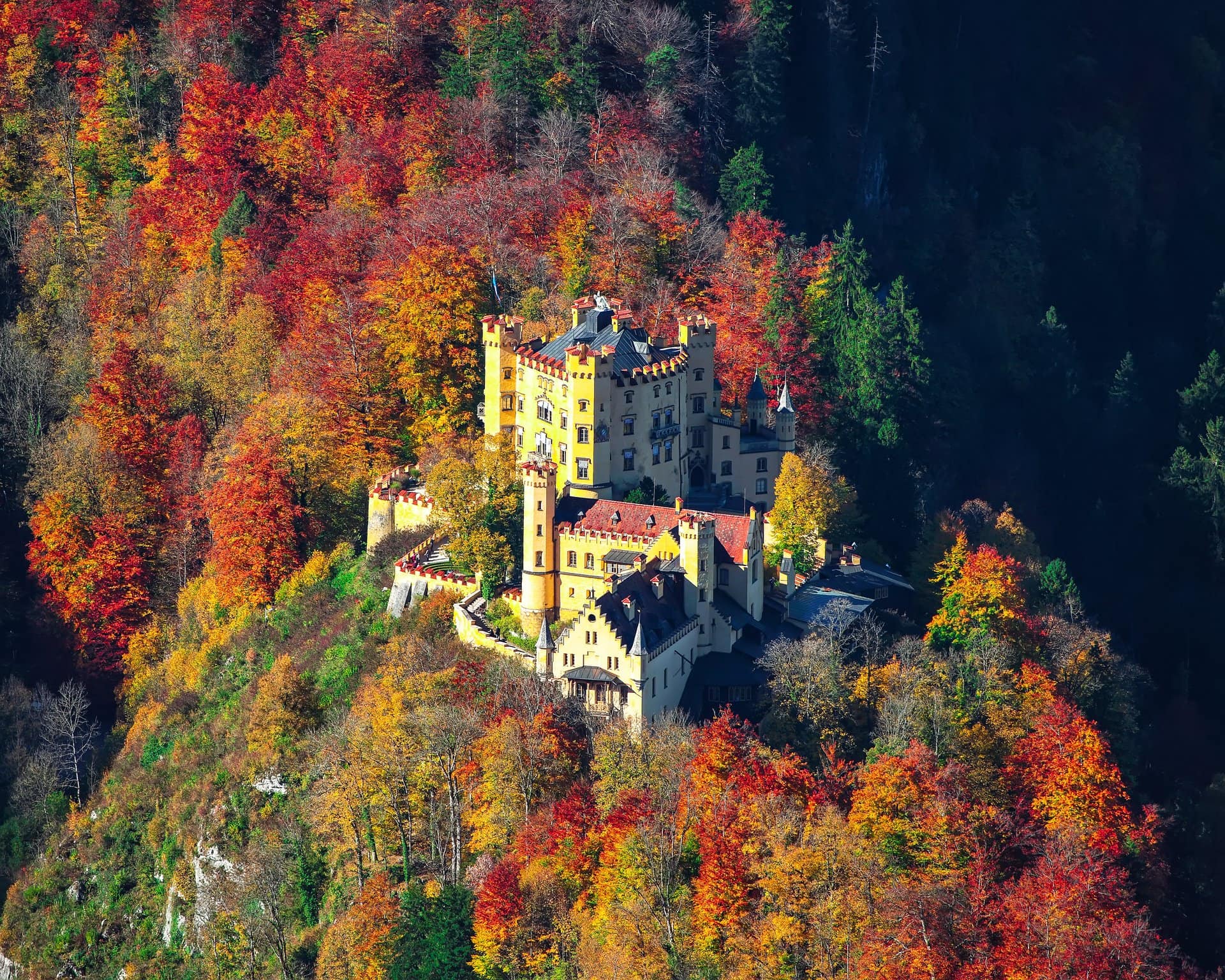 Hohenschwangau Castle 1 Aerial view of Hohenschwangau Castle on its wooded hilltop in summer, Bavarian foothills and Forggensee lake in the background