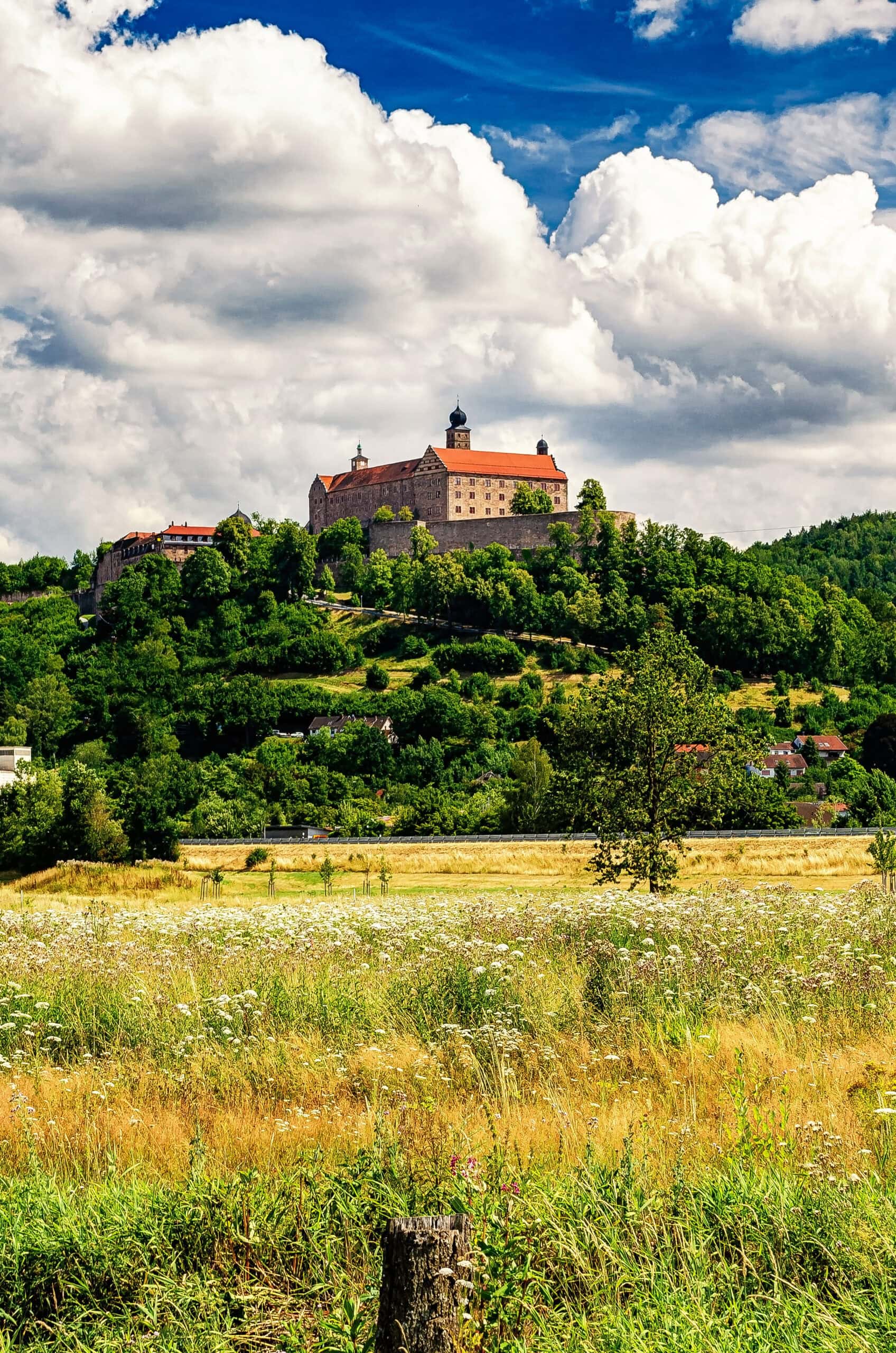 Plassenburg Fortress 2 Plassenburg Fortress on its forested hilltop above Kulmbach, viewed across a wildflower meadow