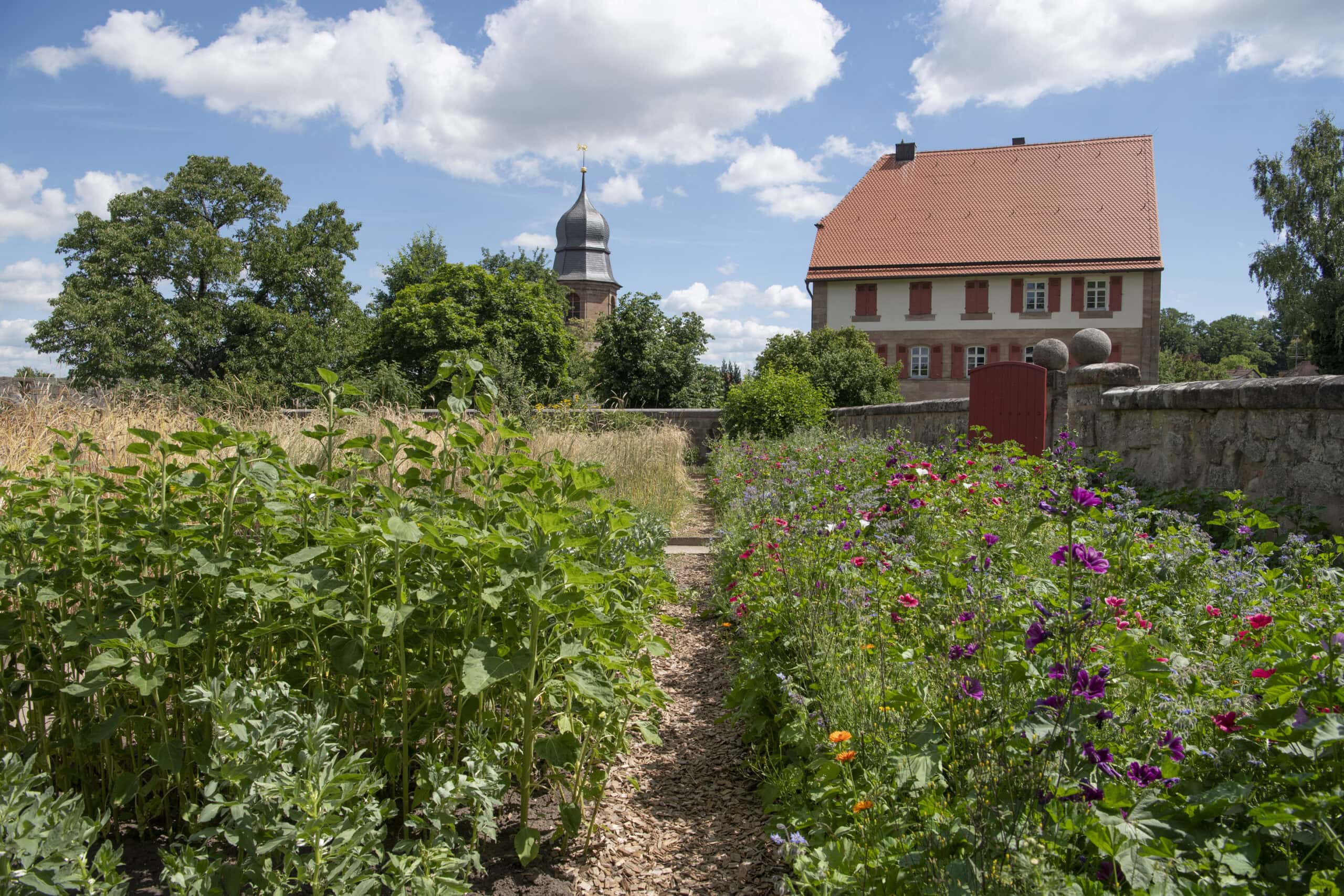 Cadolzburg Castle 7 The Burggarten herb garden at Cadolzburg along the south curtain wall, with stone walkways, formal planting beds, and the castle sandstone walls behind