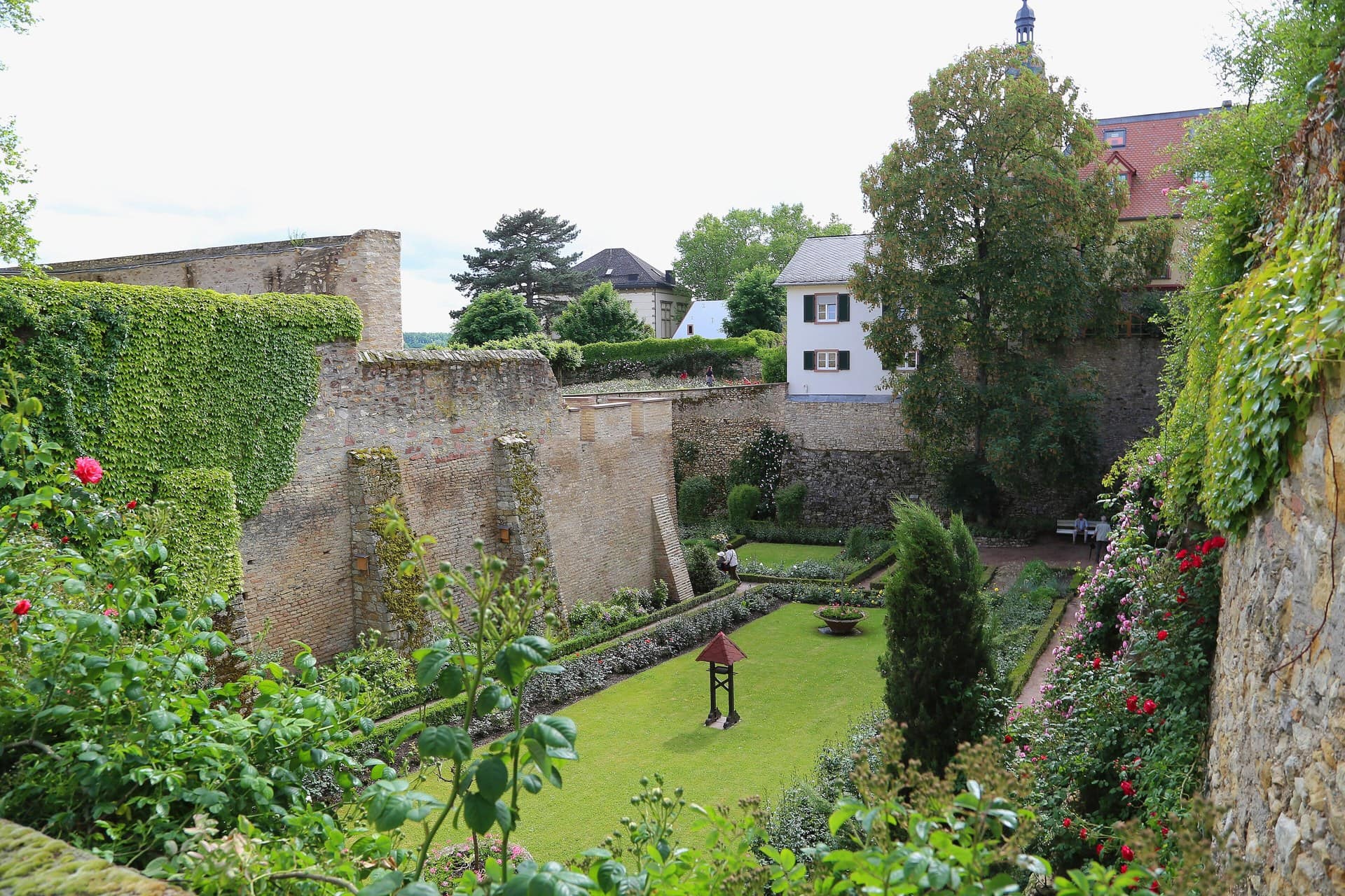 Eltville Castle 5 The Eltville Castle rose garden, planted in the former moat below the keep, with the white tower visible behind the curtain wall.