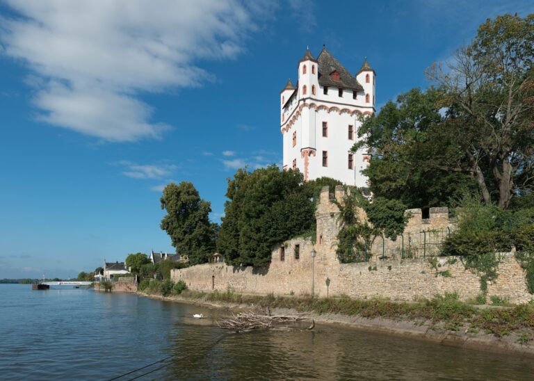 Eltville Castle 1 The white Wohnturm of Eltville Castle rising above the Rhine bank, viewed from upstream in summer.