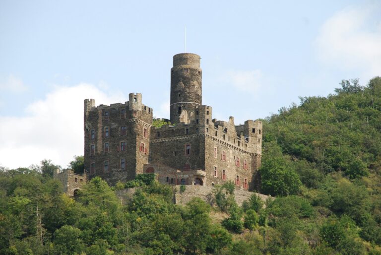 Home 6 Maus Castle on its wooded spur above the Rhine at Wellmich, the round keep and stepped-gable buildings seen from the river