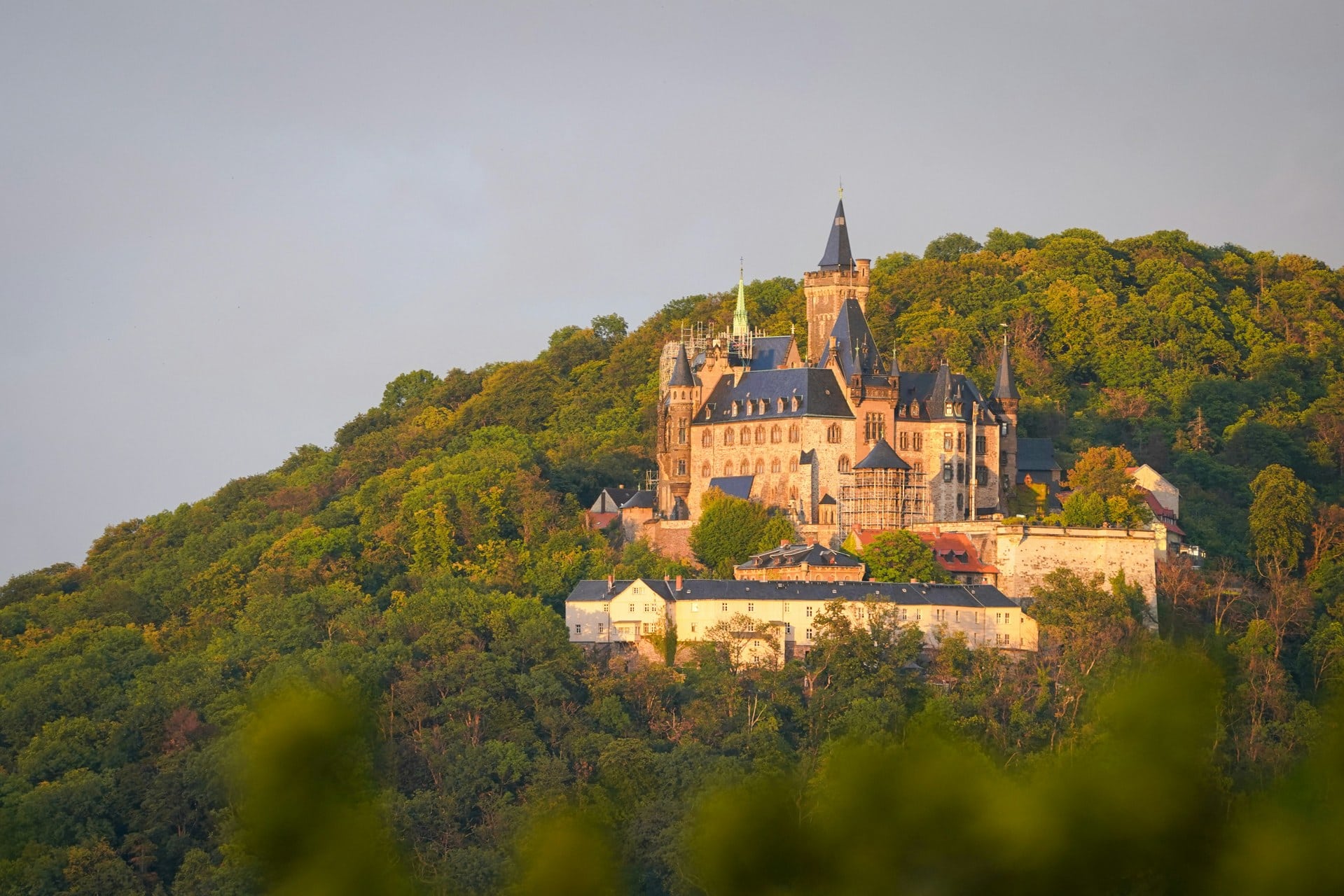 Wernigerode Castle 6 Wernigerode Castle rising on the forested Agnesberg above the Harz town in golden evening light