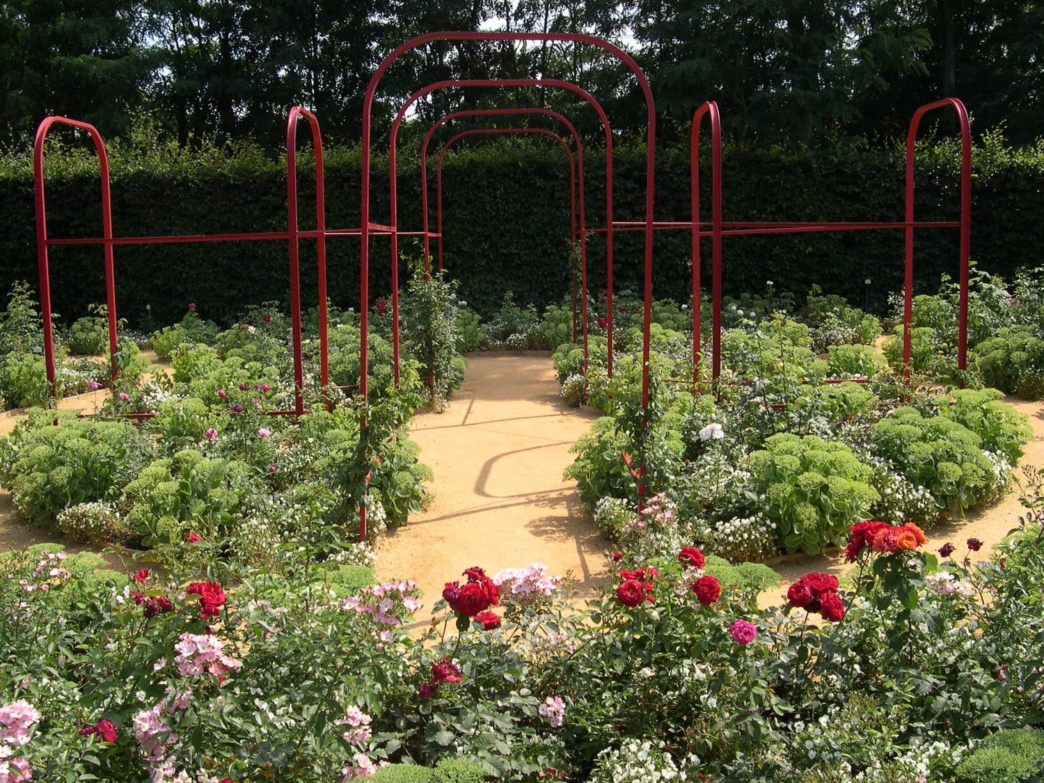 Festival heritage roses — GIRAUD Patrick, CC BY-SA 3.0 A rose garden plot at the International Garden Festival, Chaumont-sur-Loire