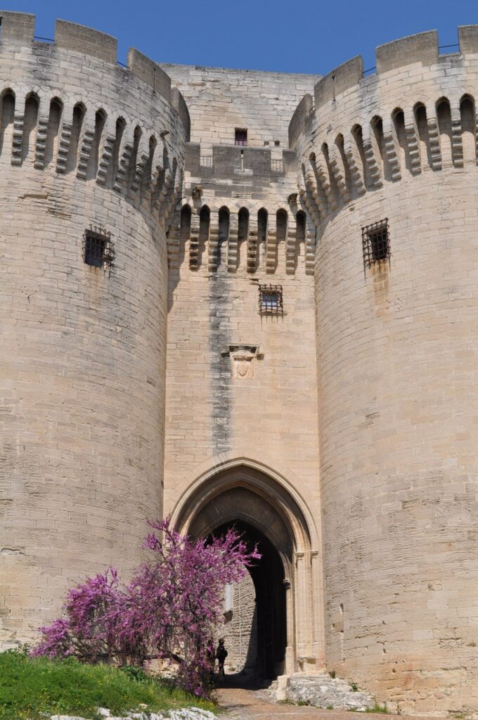 The twin towers of Fort Saint-André with a flowering redbud below.