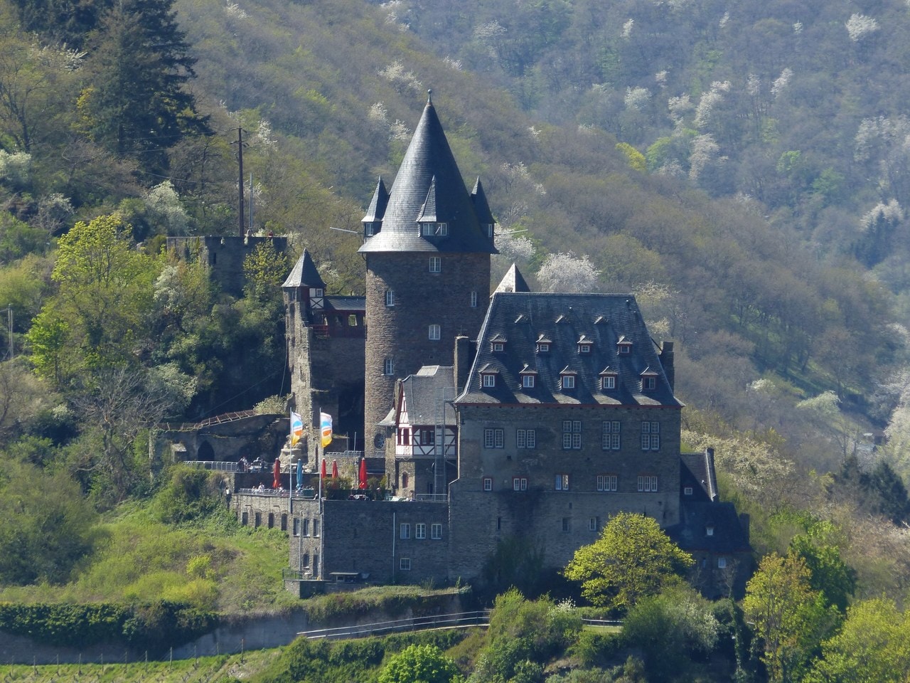Stahleck in spring — Whgler, CC BY-SA 4.0 Stahleck Castle in spring above the Rhine vineyards.