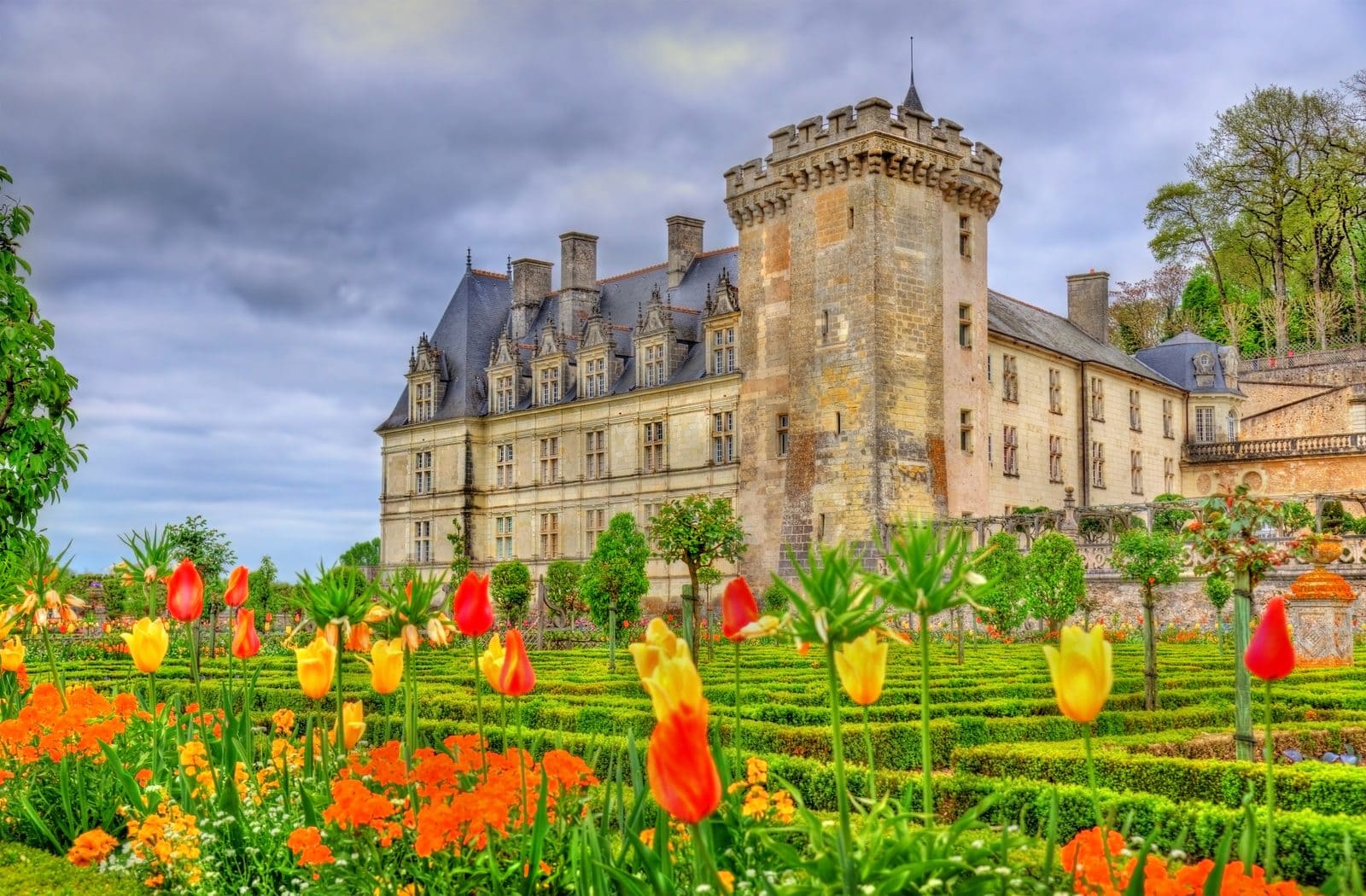 Château de Villandry 2 The medieval square keep of Villandry rising above tulip beds
