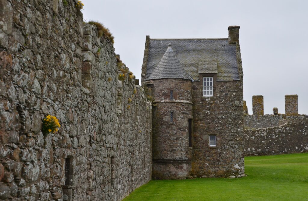 Dunnottar Castle 4 A round stair turret and a roofed lodging block in the palace range at Dunnottar Castle.