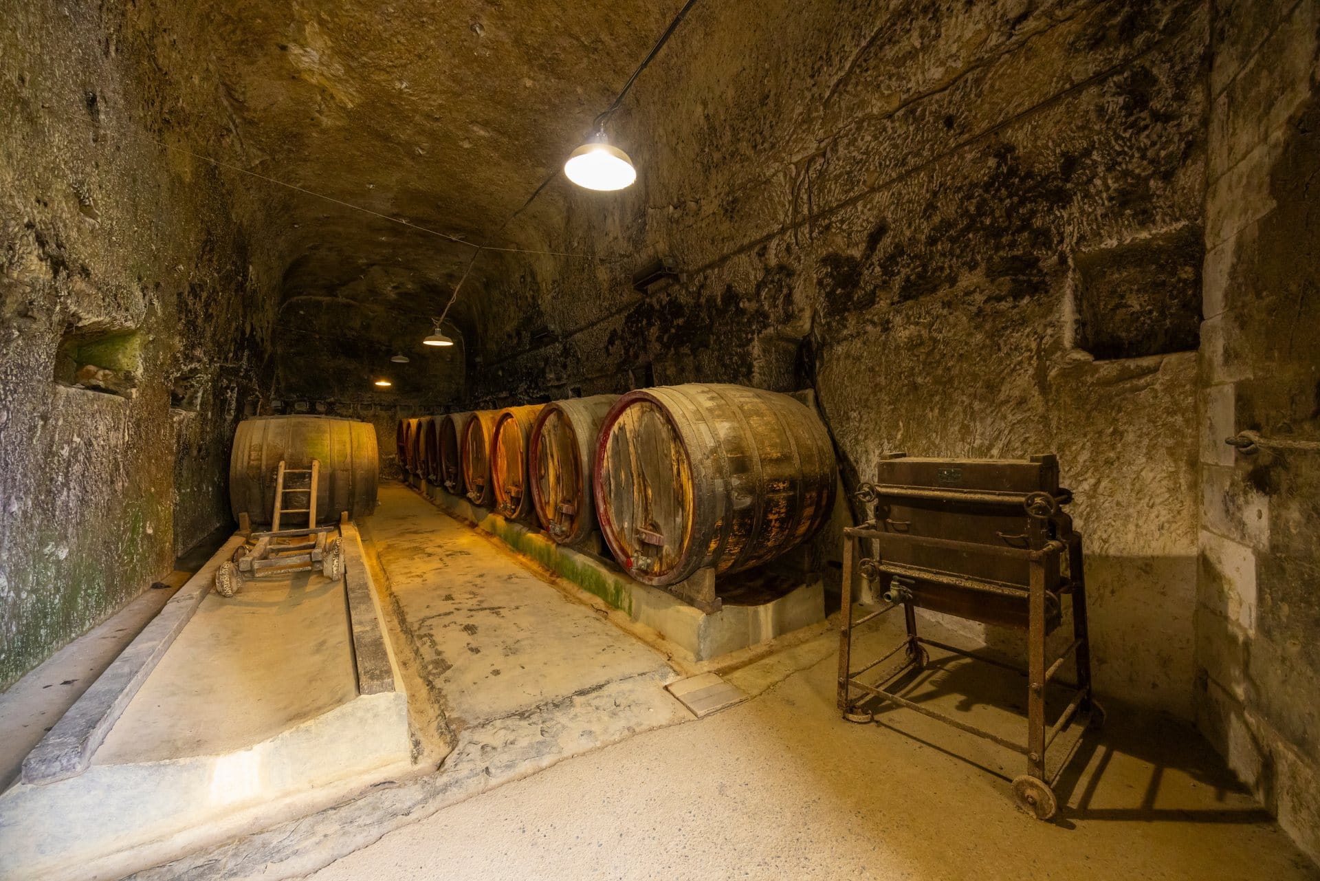 The underground wine cellar of Château de Brézé