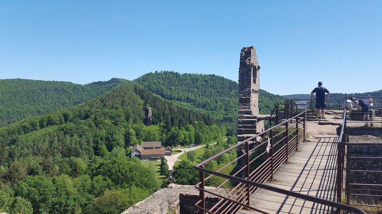 View from the summit platform of Fleckenstein over the reception buildings and forest View from the summit platform of Fleckenstein over the reception buildings and forest