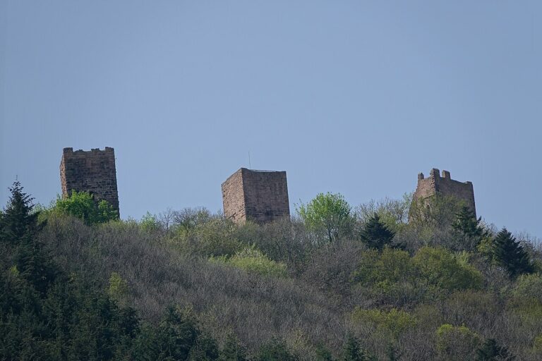 Home 4 The three keeps of the Three Castles of Eguisheim above the forest
