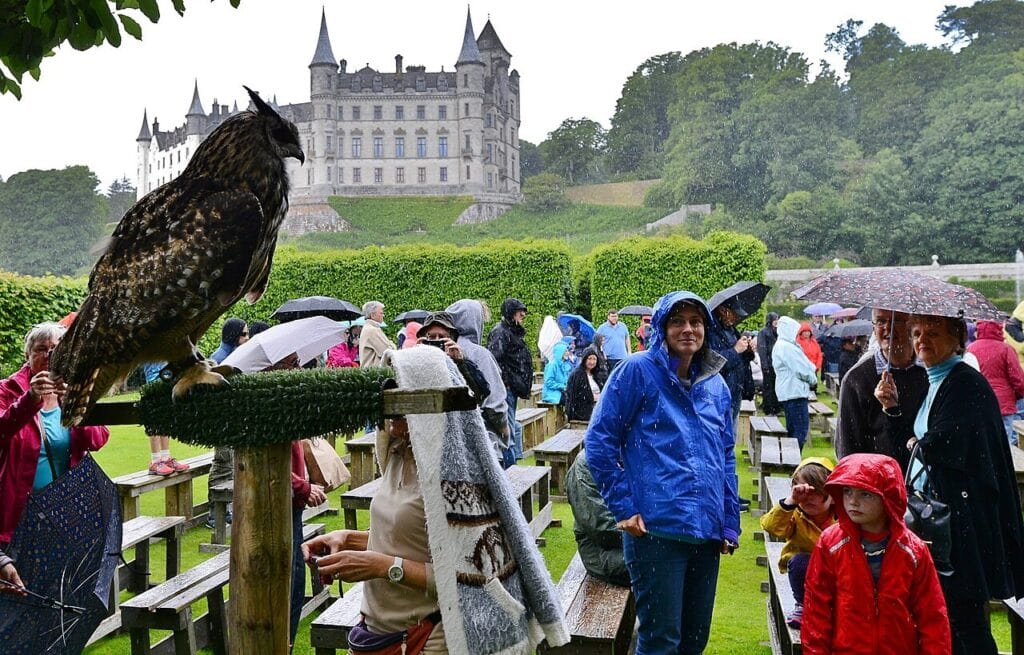 Dunrobin Castle 2 A large ear-tufted owl on a padded perch in the foreground while visitors in rain jackets disperse among wooden benches, the castle on the slope behind.