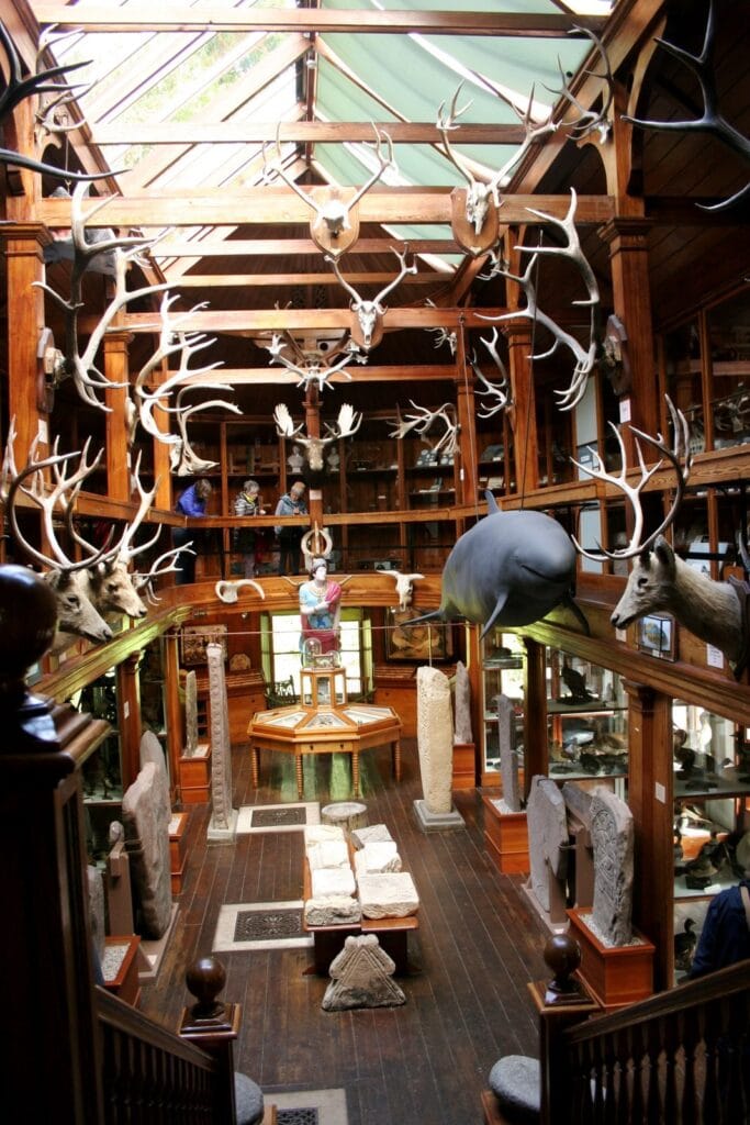 Dunrobin Castle 8 The glass-roofed interior of the museum, its timber posts and first-floor gallery hung with dozens of mounted deer skulls and antlers, with glazed display cases and carved stones ranged below.
