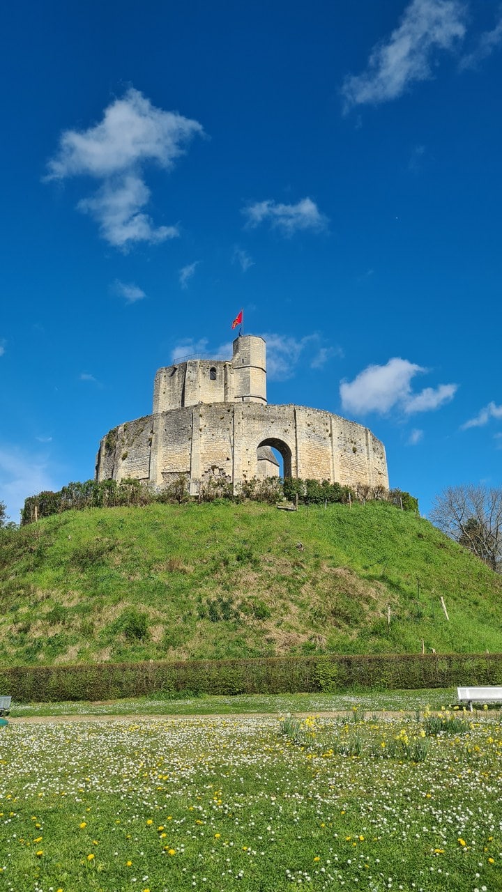 Looking up the grassy motte at Chateau de Gisors to the arched ring wall and the octagonal great tower above, dandelions and daisies in the mown grass in the foreground. Looking up the grassy motte at Chateau de Gisors to the arched ring wall and the octagonal great tower above, dandelions and daisies in the mown grass in the foreground.