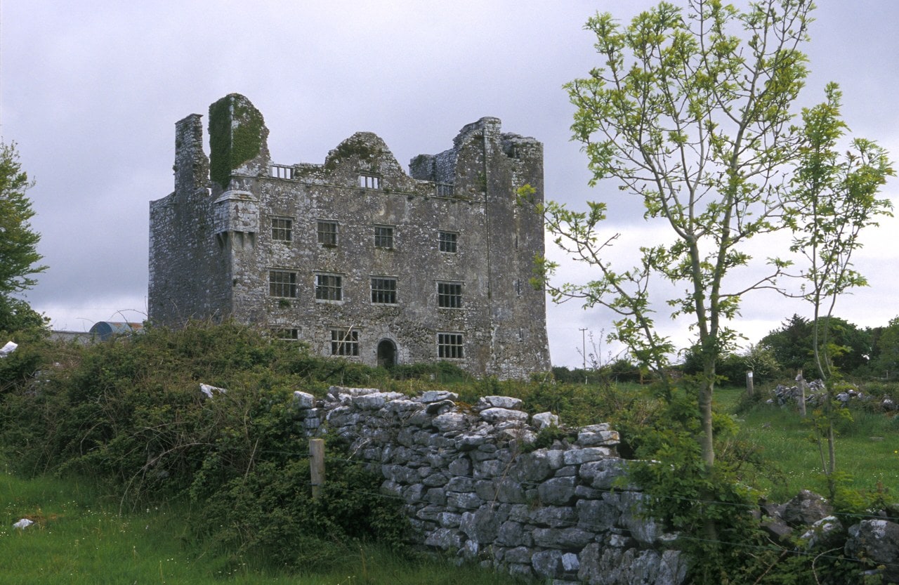 A tall roofless stone castle standing in a green Irish field, with four ranks of stone-framed windows, an arched doorway, and a dry-stone limestone field wall and scrub in the foreground. A tall roofless stone castle standing in a green Irish field, with four ranks of stone-framed windows, an arched doorway, and a dry-stone limestone field wall and scrub in the foreground.