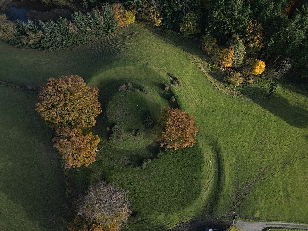 A near-vertical aerial view of grassed earthworks: a flat-topped mound sits inside a continuous ring ditch, with a broad curving banked platform sweeping around one side of it, mature trees in autumn color growing on and beside the mound, and pasture and woodland around. A near-vertical aerial view of grassed earthworks: a flat-topped mound sits inside a continuous ring ditch, with a broad curving banked platform sweeping around one side of it, mature trees in autumn color growing on and beside the mound, and pasture and woodland around.