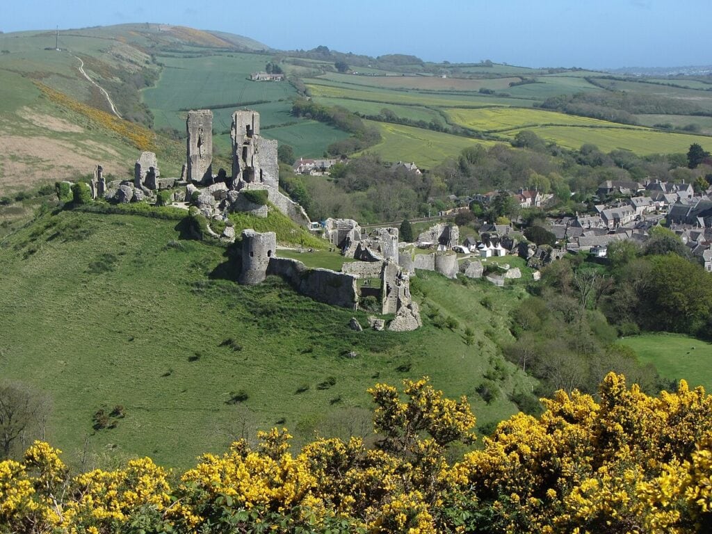 Why Are English Castles in Ruins? 10 A ruined castle spread along a green hill above the gray roofs of a village, with fields and a ridge of hills beyond and yellow gorse in the foreground.
