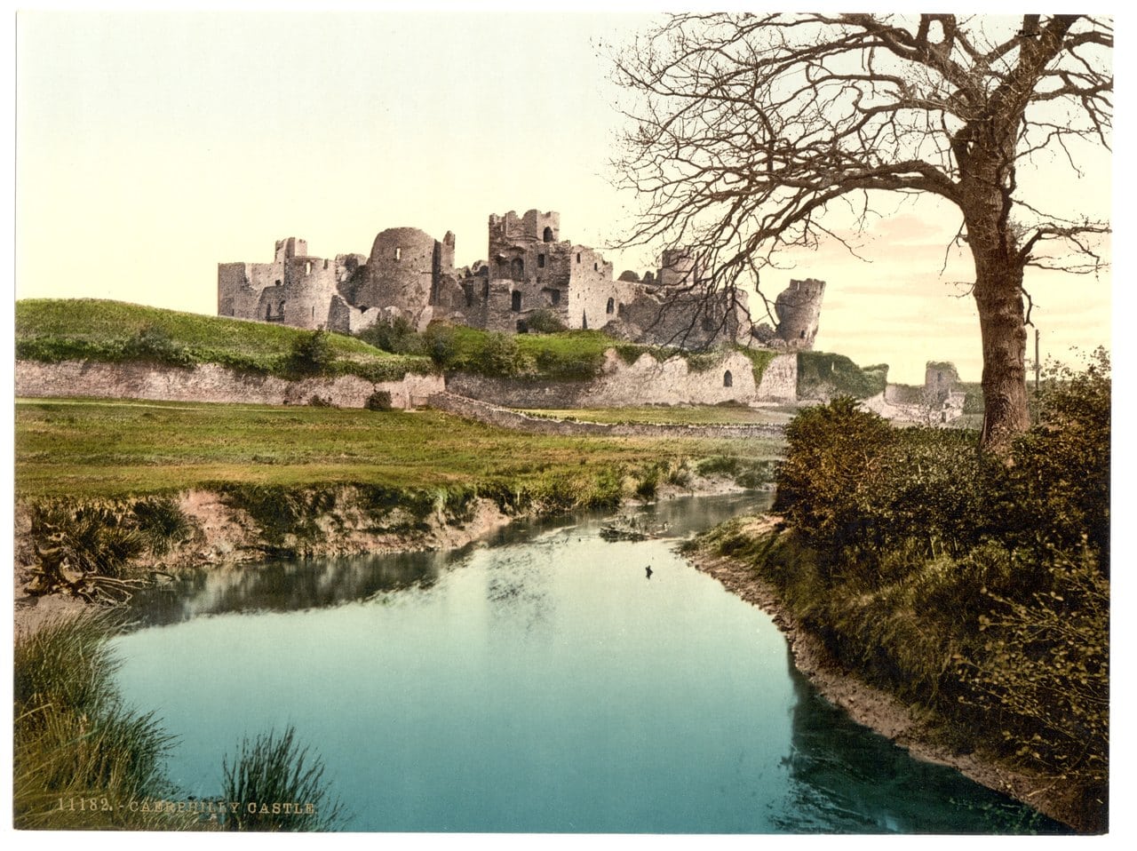 A color-tinted late-nineteenth-century view of a ruined castle on a low rise beyond meadow, with a stream and a bare tree in the foreground A color-tinted late-nineteenth-century view of a ruined castle on a low rise beyond meadow, with a stream and a bare tree in the foreground