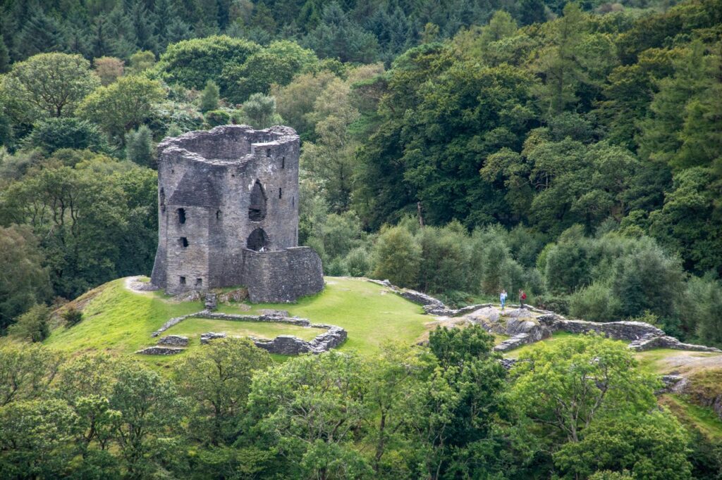 Dolbadarn Castle 11 A round stone tower on a green knoll with low wall footings, two small figures of visitors to the right, surrounded by woodland