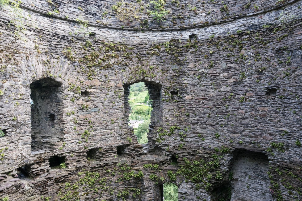 The inside face of a roofless round stone tower: two tall window recesses, a horizontal row of square holes in the masonry beneath them, and plants growing from the joints The inside face of a roofless round stone tower: two tall window recesses, a horizontal row of square holes in the masonry beneath them, and plants growing from the joints