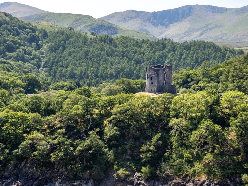 Dolbadarn Castle 5 A ruined round stone tower on a rocky outcrop above a dense wooded slope, with a forested hillside and bare mountains behind under a pale sky